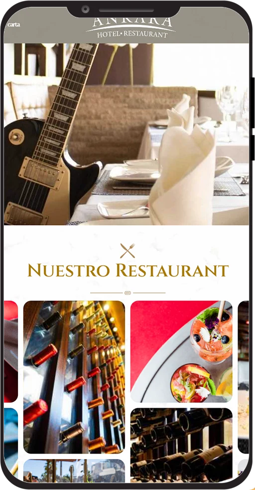 Paginas web en Venezuela